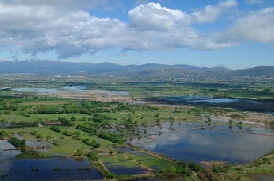 Aiguamolls de l'Empordà