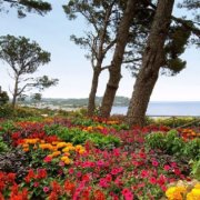 Jardins de Cap Roig